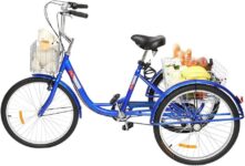 Top 10 Best Tricycles 2026