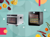 Top 10 Best Dehydrators 2026
